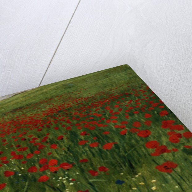 The Poppy Field, 1896 by Pal Szinyei Merse