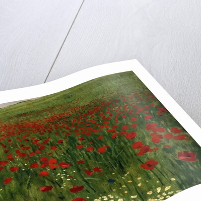 The Poppy Field, 1896 by Pal Szinyei Merse