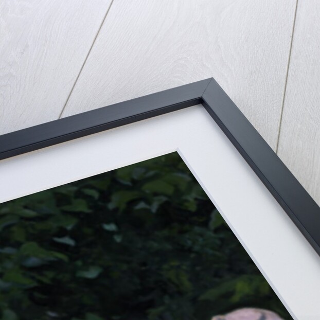 Sunny Morning, 1905 by Karoly Ferenczy