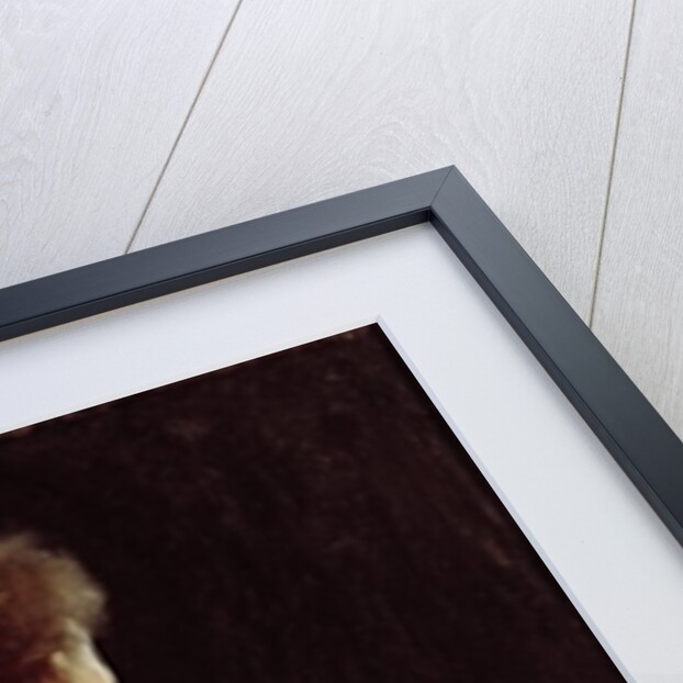 Daybreak by Margitay Tihamer