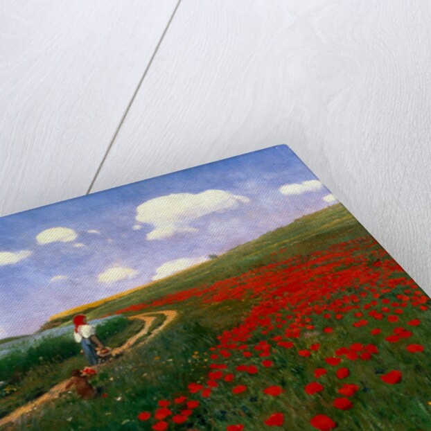 The Poppy Field by Pal Szinyei Merse