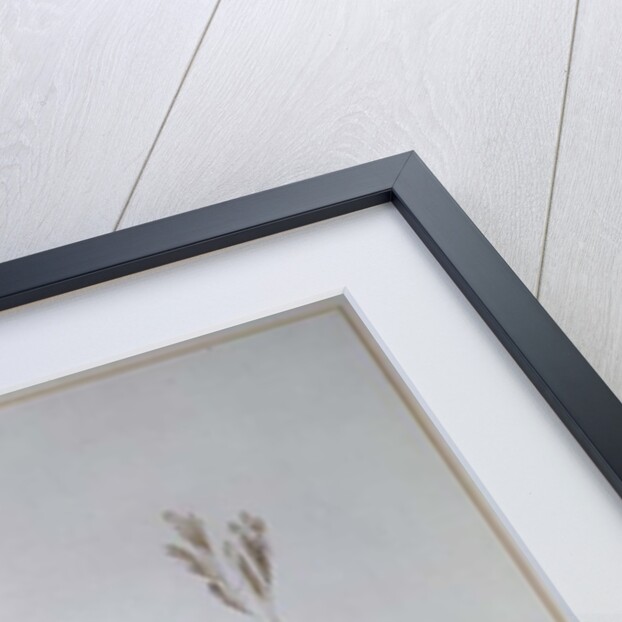 Flamingo by Edward Lear