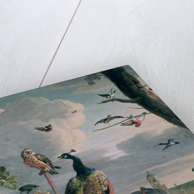 Palace of Amsterdam with Exotic Birds by Melchior de Hondecoeter