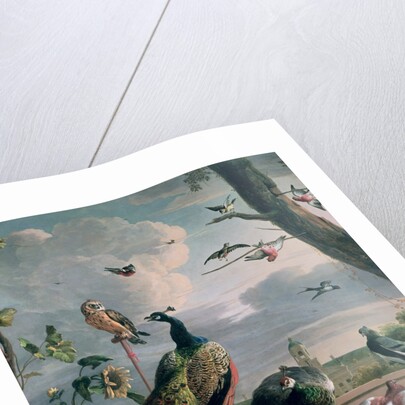 Palace of Amsterdam with Exotic Birds by Melchior de Hondecoeter