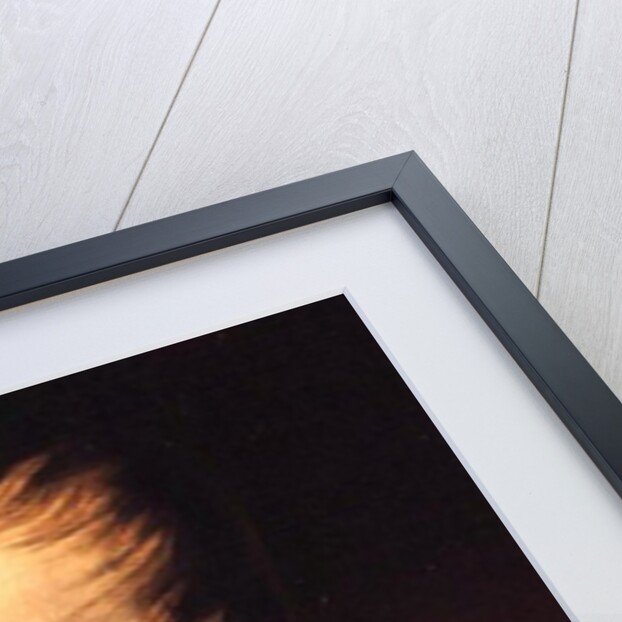 Portrait of Ferdinand I, Emperor of Austria, 19th century by Friedrich von Amerling