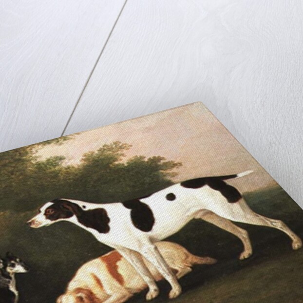 Three Dogs in a Landscape by John Boultbee