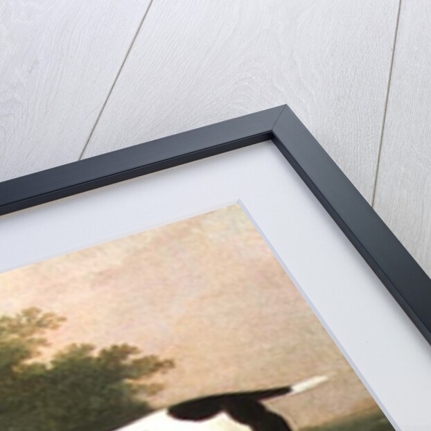 Three Dogs in a Landscape by John Boultbee