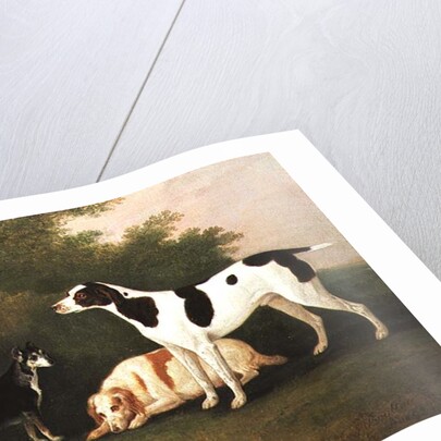 Three Dogs in a Landscape by John Boultbee