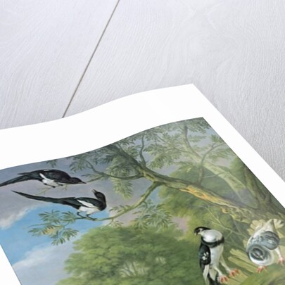 Cock pheasant, hen pheasant and chicks and other birds in a classical landscape by Pieter Casteels