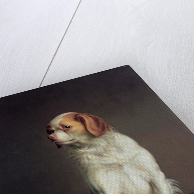 Portrait of a King Charles Spaniel by Louis Leopold Boilly