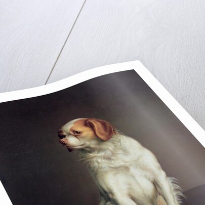 Portrait of a King Charles Spaniel by Louis Leopold Boilly