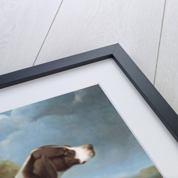 Portrait of a liver and white pointer by George Garrard