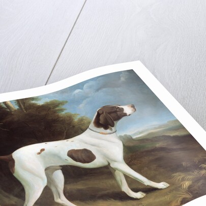 Portrait of a liver and white pointer by George Garrard
