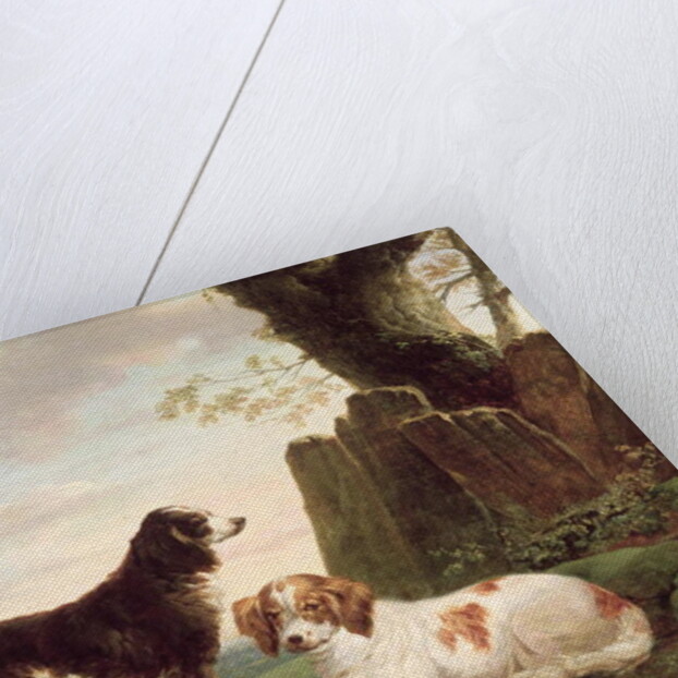 Two spaniels in a landscape by Charles Towne