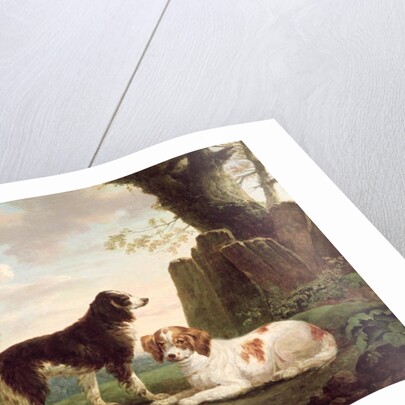 Two spaniels in a landscape by Charles Towne