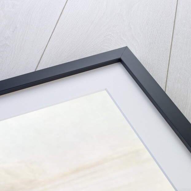 Second view looking north from the Pagoda near Conjeveram by James Wathen