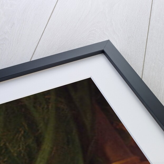 King Stephen by Anton Kalliauer