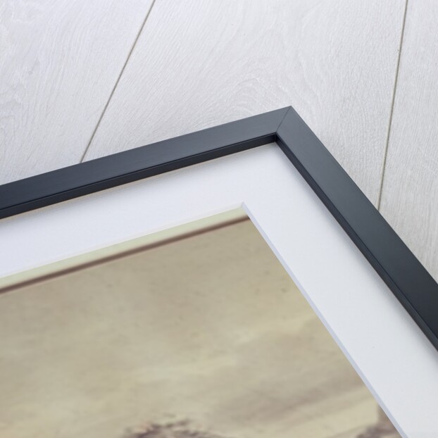 The French Capture Grenada by Pierre Ozanne