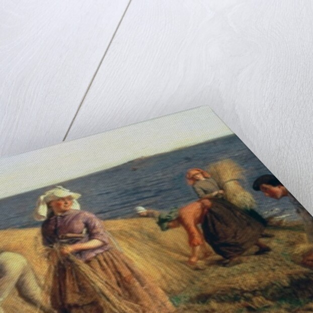 The Harvest by Hugh Cameron