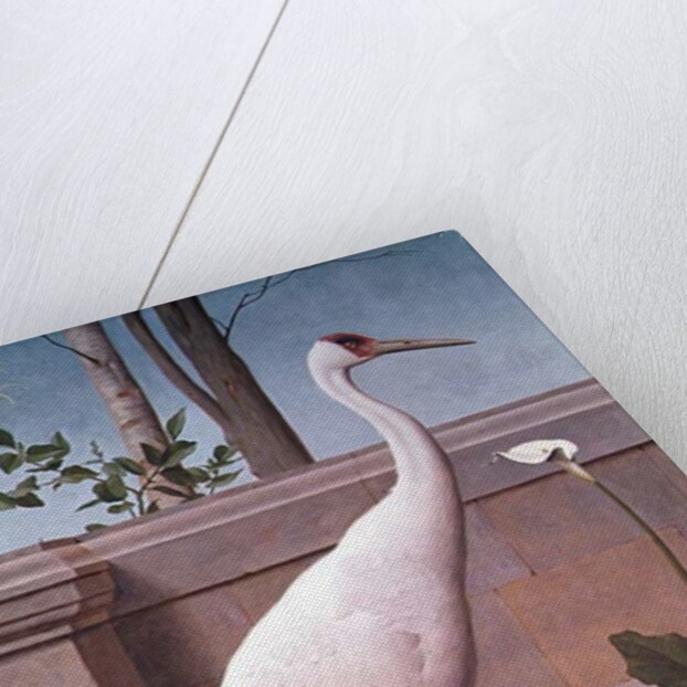 Indian Crane, Cockatoo, Bullfinch and Thrush by Henry Stacy Marks