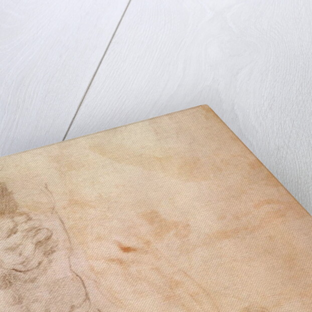 Torso Study by Michelangelo Buonarroti