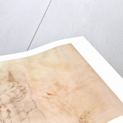 Torso Study by Michelangelo Buonarroti