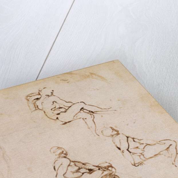 Figure Studies for a Man by Michelangelo Buonarroti