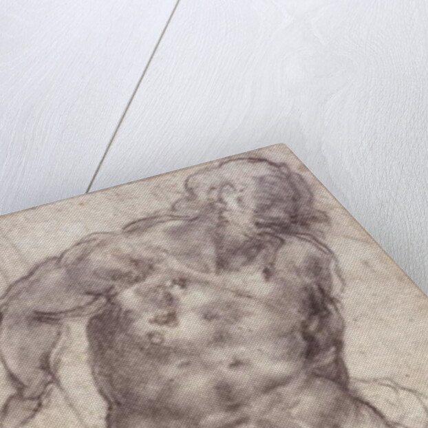 Figure Study by Michelangelo Buonarroti