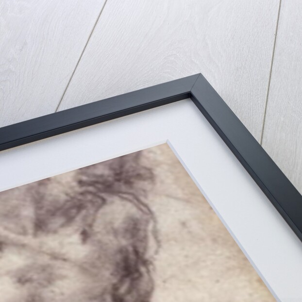 Figure Study by Michelangelo Buonarroti