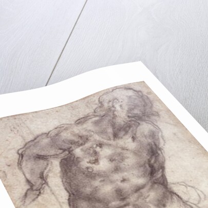 Figure Study by Michelangelo Buonarroti