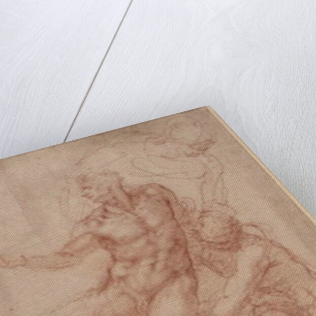 Figure Studies by Michelangelo Buonarroti