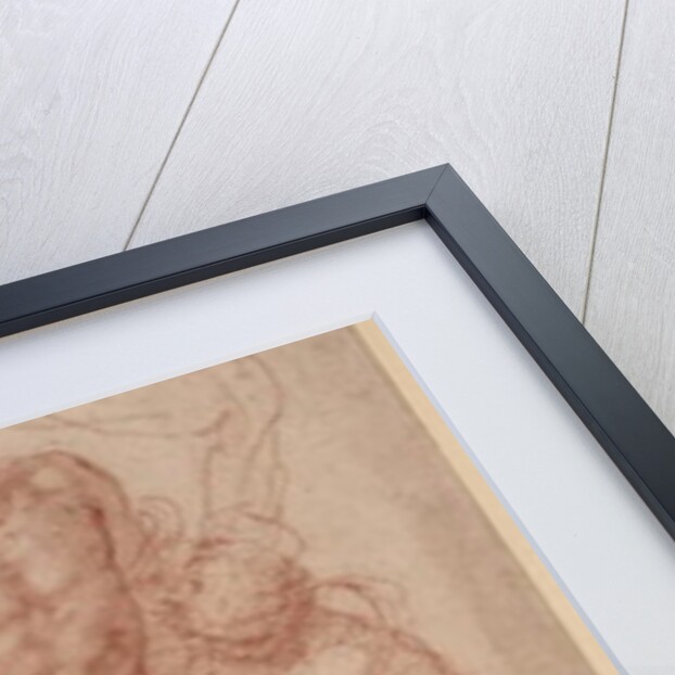 Figure Studies by Michelangelo Buonarroti