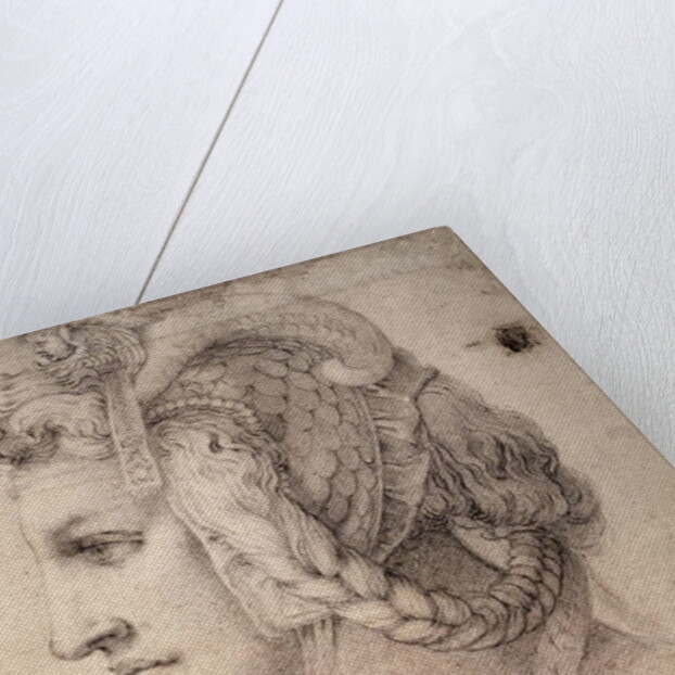 Study of Head by Michelangelo Buonarroti