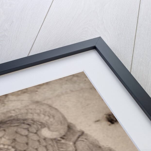 Study of Head by Michelangelo Buonarroti