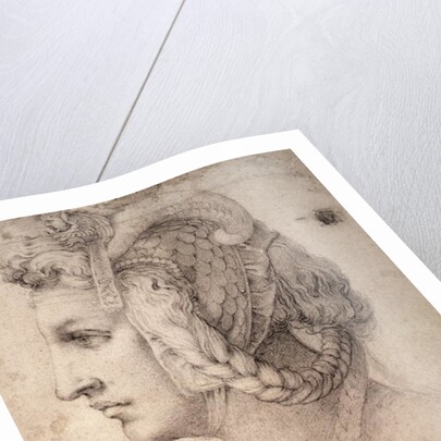 Study of Head by Michelangelo Buonarroti