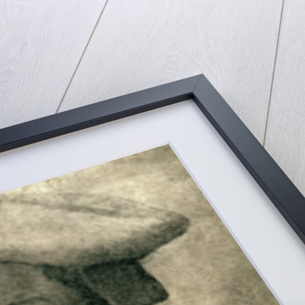 Portrait of Andrea Quaratesi, c.1532 by Michelangelo Buonarroti