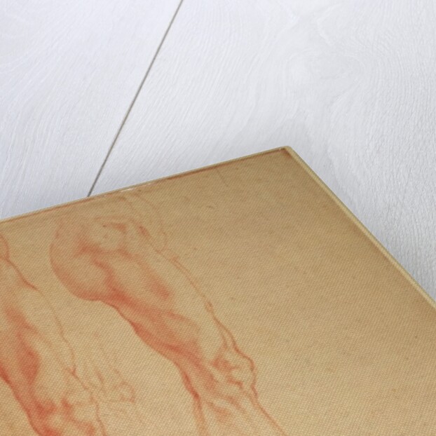 Studies of Legs and Arms by Michelangelo Buonarroti