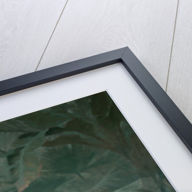 Portrait of Adelaide Maria, Countess of Iveagh by George Elgar (after) Hicks