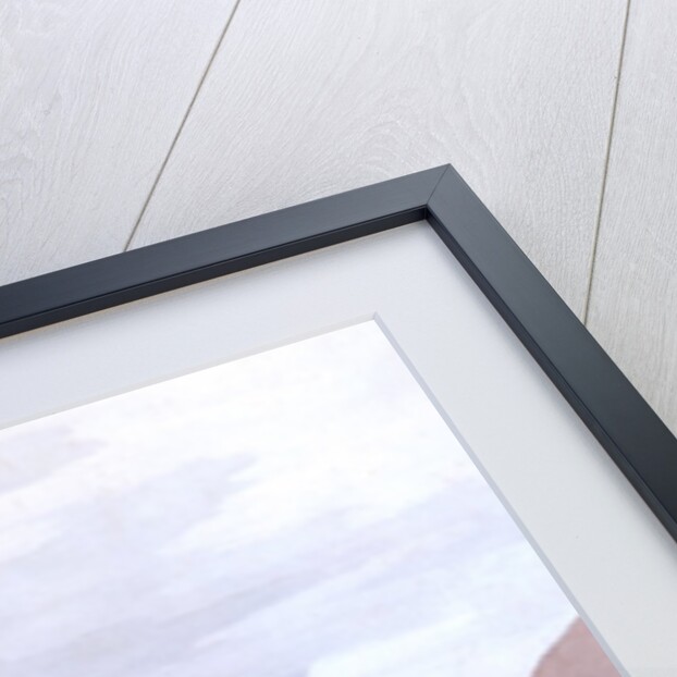 Chamonix and Martigny by John Robert Cozens