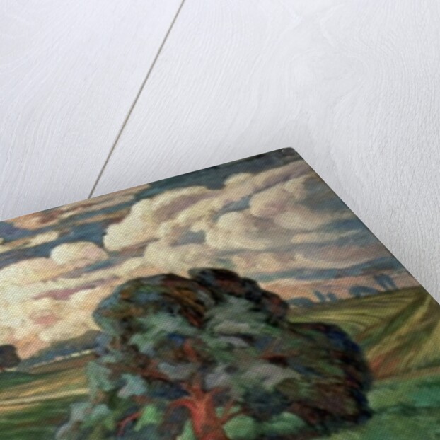 Fauve Landscape by Carl-Edvard Diriks