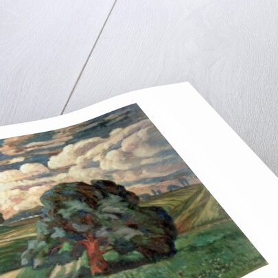 Fauve Landscape by Carl-Edvard Diriks