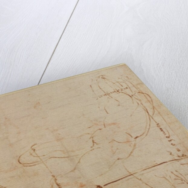 Study for River God by Michelangelo Buonarroti