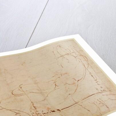 Study for River God by Michelangelo Buonarroti