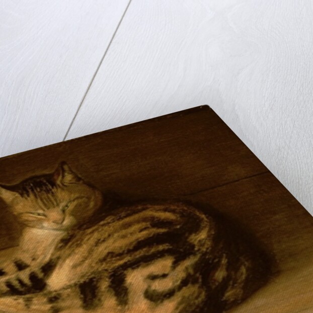 Recumbent Cat, 1898 by Theophile Alexandre Steinlen