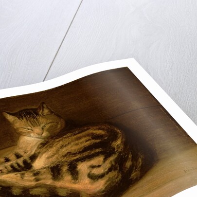 Recumbent Cat, 1898 by Theophile Alexandre Steinlen