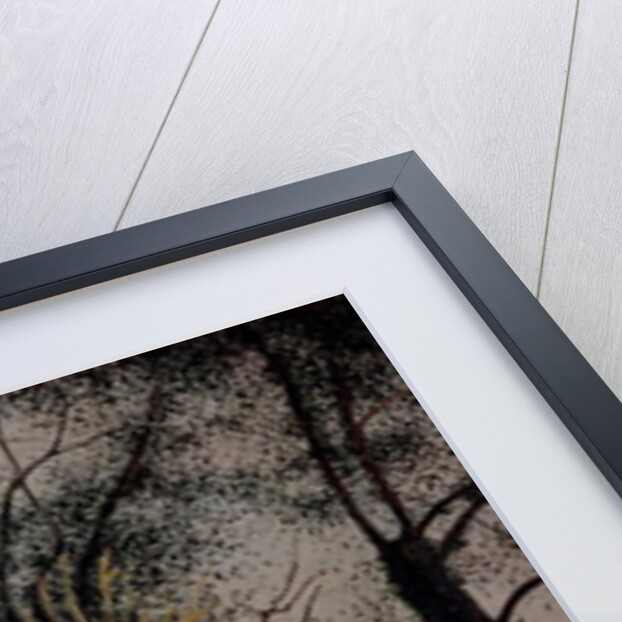 The Old Olive Tree, 1922 by Felix Edouard Vallotton