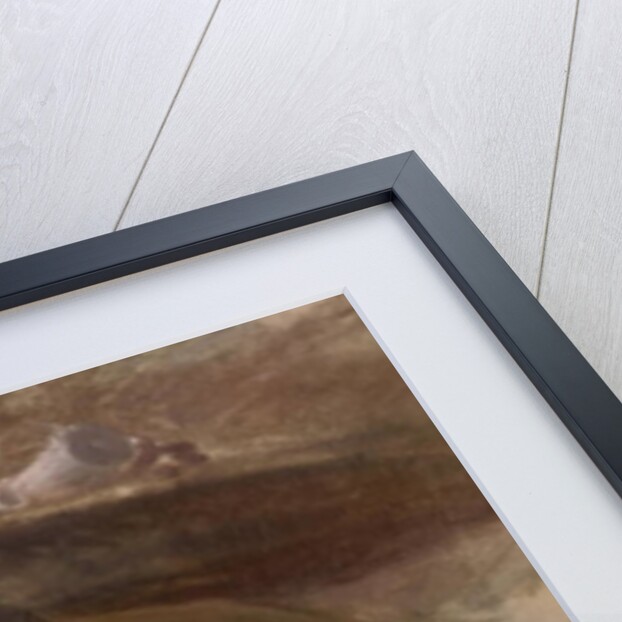 The Shrimp Girl, c.1740-5 by William Hogarth