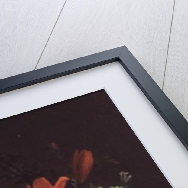 Poppies, Roses, Lilies, Daisies, a Convolvulus and Other Flowers in a Glass Bowl on a Ledge, with a Cabbage White Butterfly Above by Elias van den Broeck