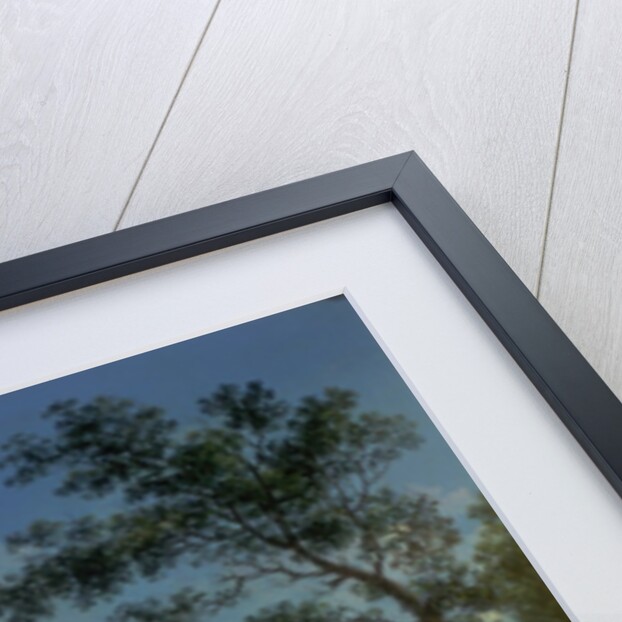 A View of Regent's Park and the Colosseum from Primrose Hill, 1832 by John Knox