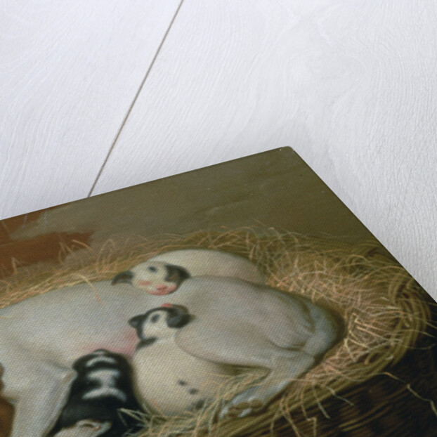 Bitch with her Puppies in a Wicker Basket by Samuel de Wilde